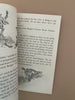 Fantastic Mr Fox | R Dahl KindFolk