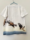 Molo T-shirt | 12 yrs (preloved) KindFolk