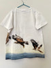 Molo T-shirt | 12 yrs (preloved) KindFolk