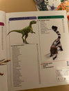 Knowledge Encyclopaedia Dinosaur KindFolk