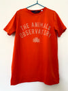 The Animals Observatory KindFolk