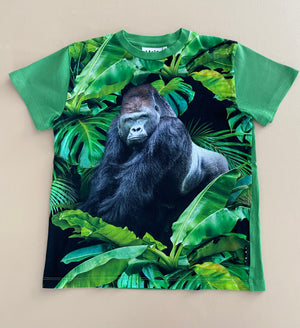 Molo T-shirt | 140cm/age 10 (preloved) KindFolk