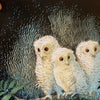 Owl Babies (Martin Waddell)